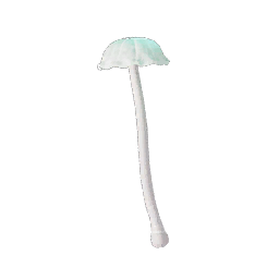 Luz del Sur Mushroom